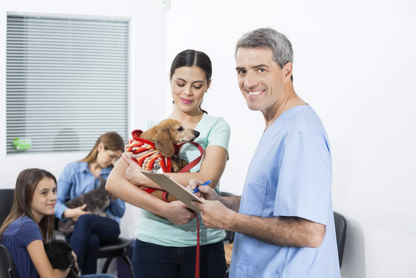 dog-and-owner-in-vet-waiting-room Male nurse in blue scrubs writes on clipboard while woman holds dachshund in waiting room.