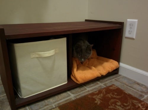 gray-cat-in-spy-bench-bed Cat lies in storage shelf bench with orange blanket