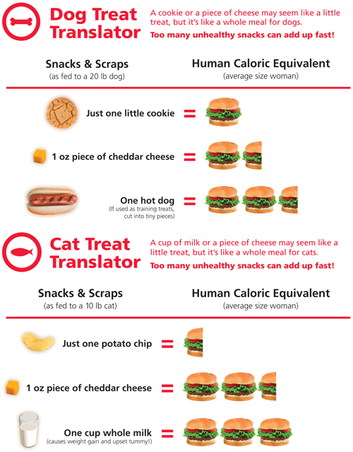 Treat translator