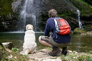 Enjoying the View man-and-dog-sitting-by-waterfall