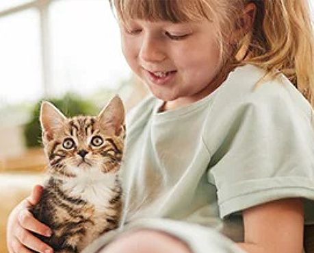 女孩與快樂的貓咪