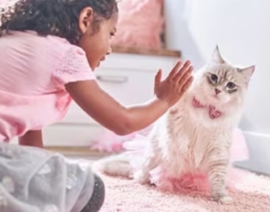 一個小女孩在與一隻小貓咪玩