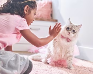 一個小女孩在與一隻小貓咪玩