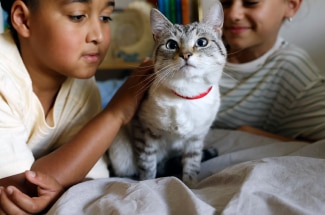 kids petting cat