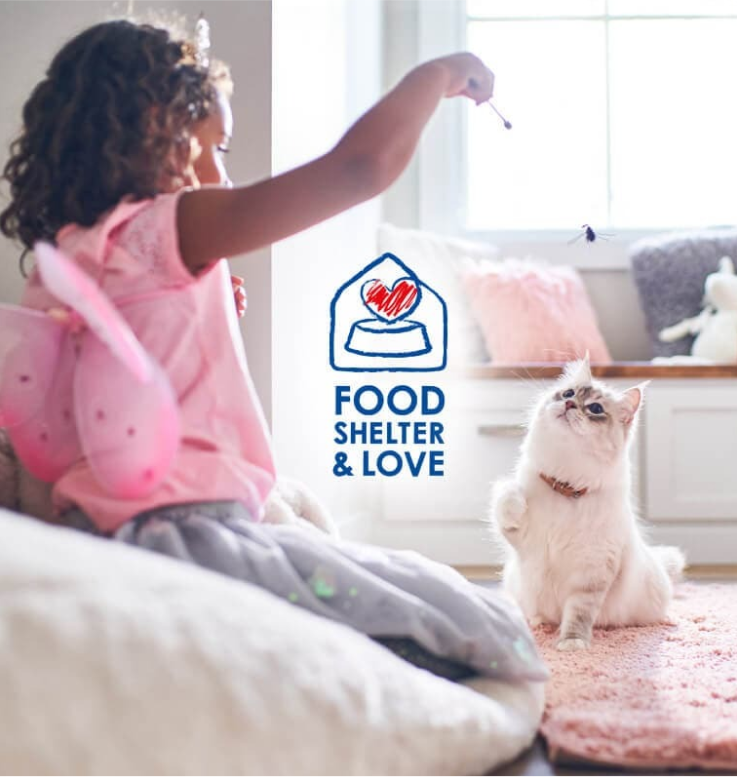 女孩正在和她的貓咪玩耍