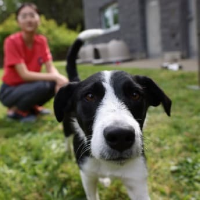 年輕的女孩旁邊有一隻狗